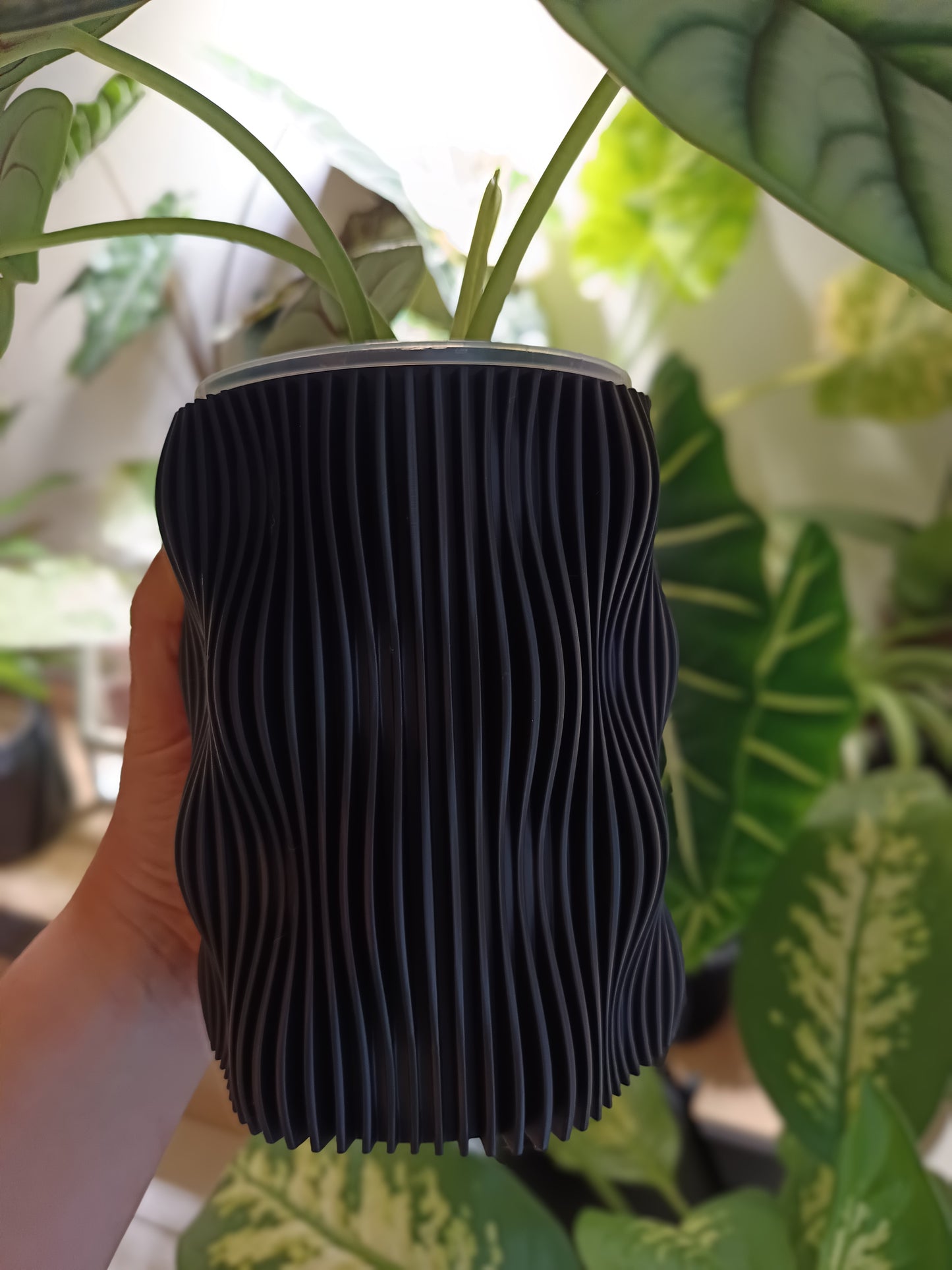 NestPot Muxel – Decorative Cage Cover for Aroid Nursery Pots