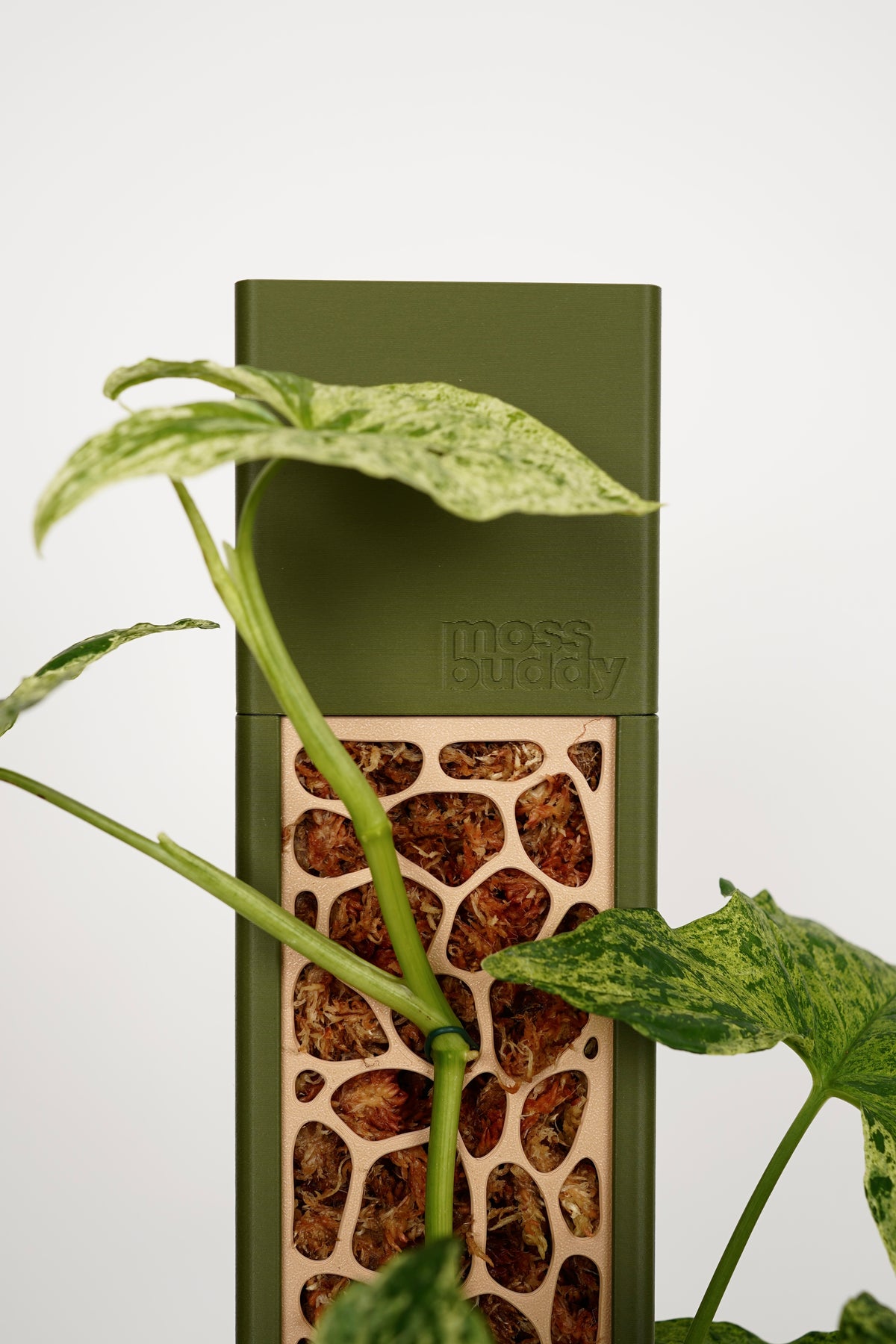 Modular Enclosed Moss Pole