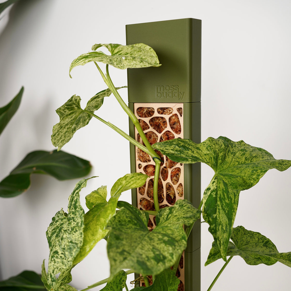 Modular Enclosed Moss Pole