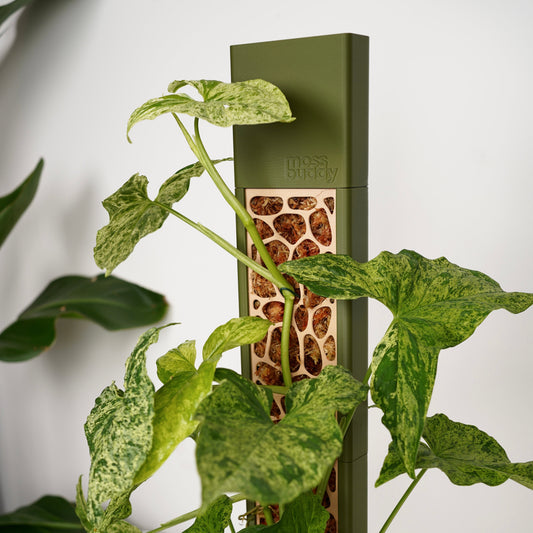 Modular Enclosed Moss Pole