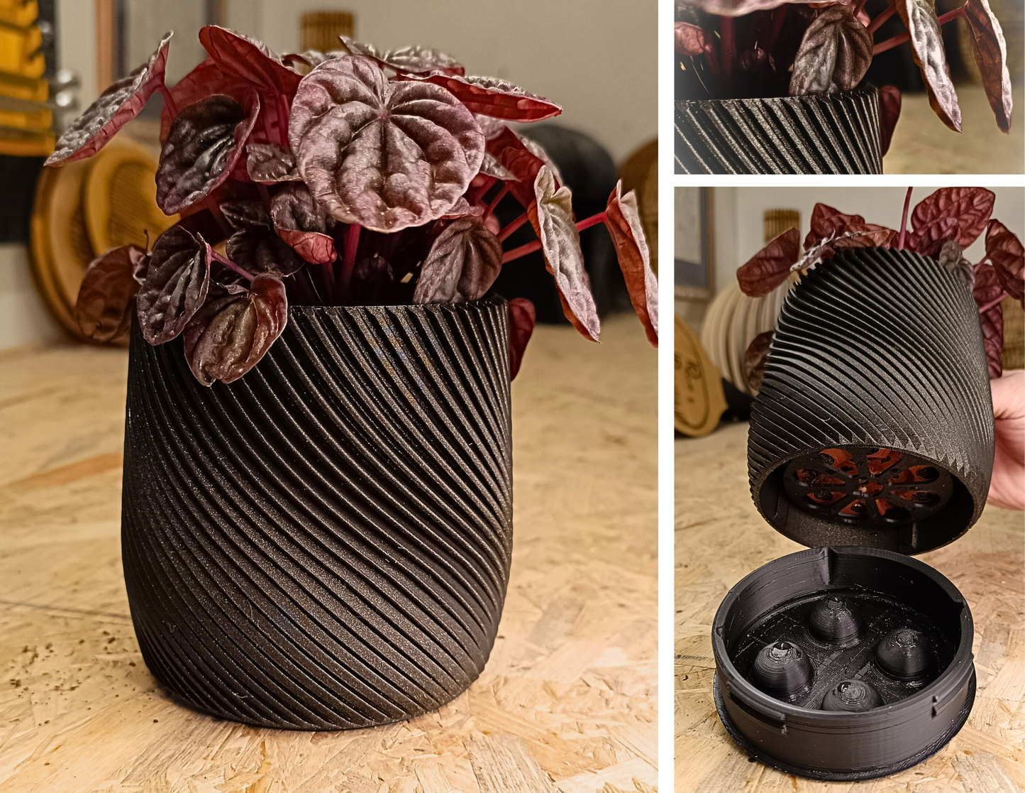 Wall Planter with Hidden Drip Tray