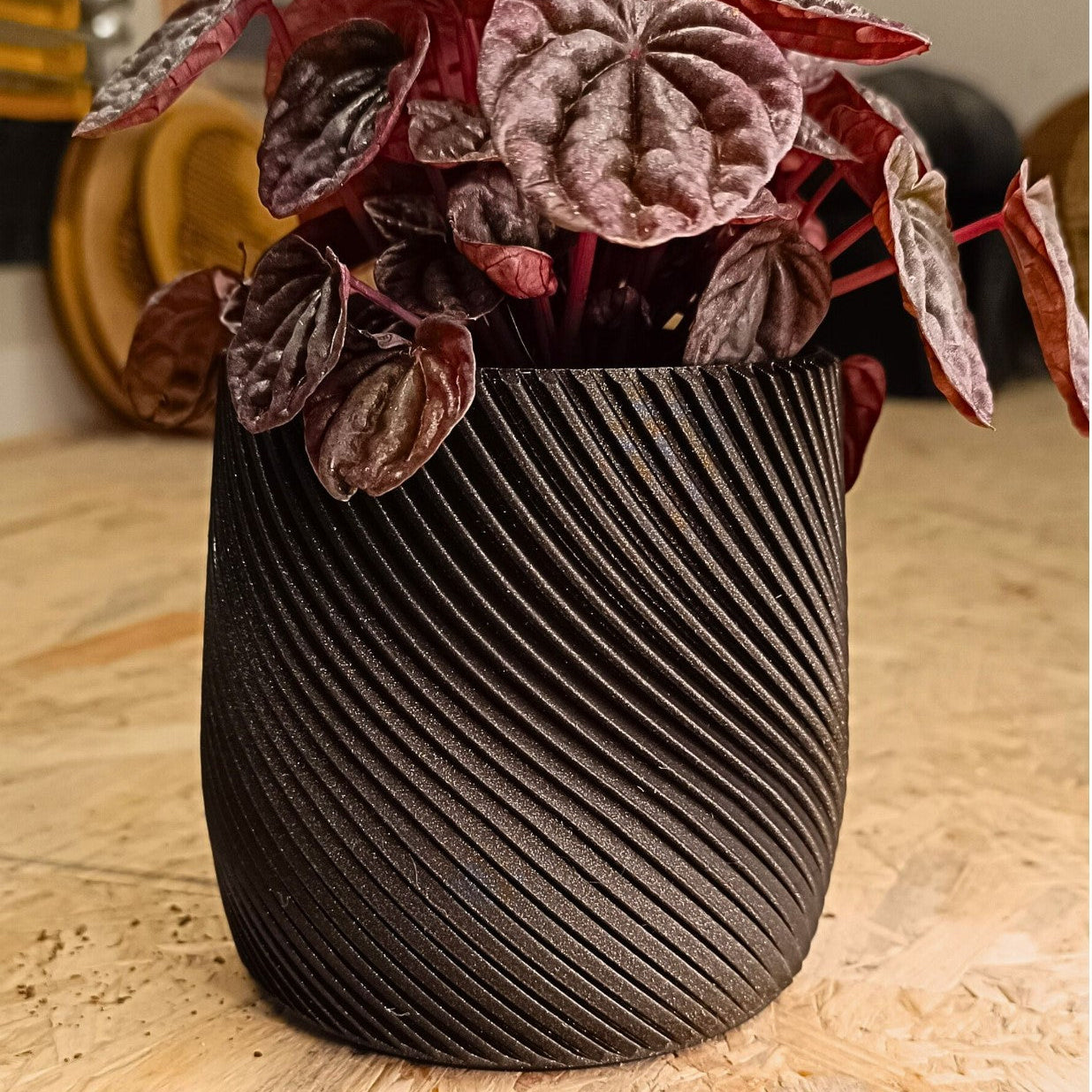 Wall Planter with Hidden Drip Tray
