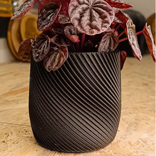 Wall Planter with Hidden Drip Tray
