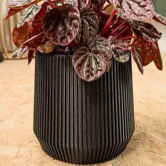 Wall Planter with Hidden Drip Tray