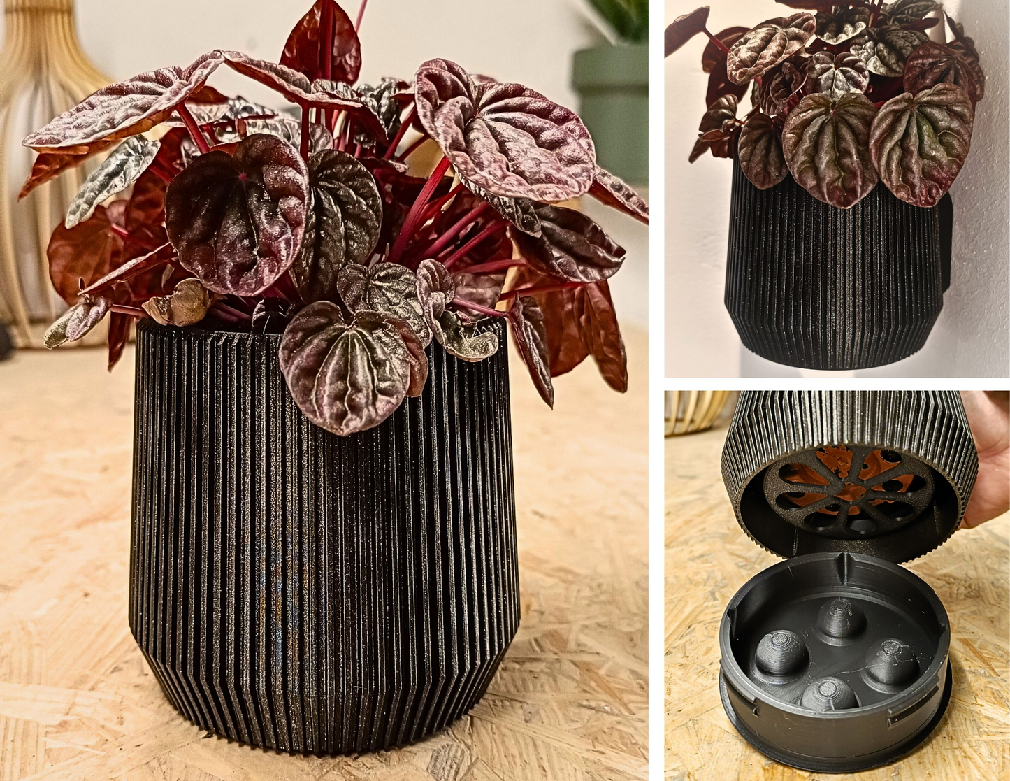 Wall Planter with Hidden Drip Tray