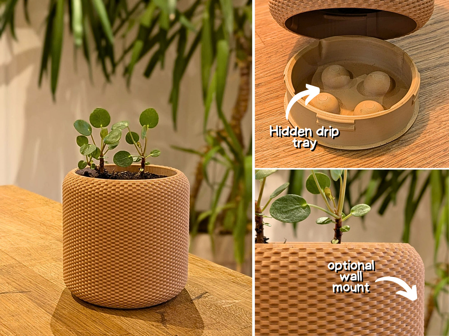Wall Planter with Hidden Drip Tray