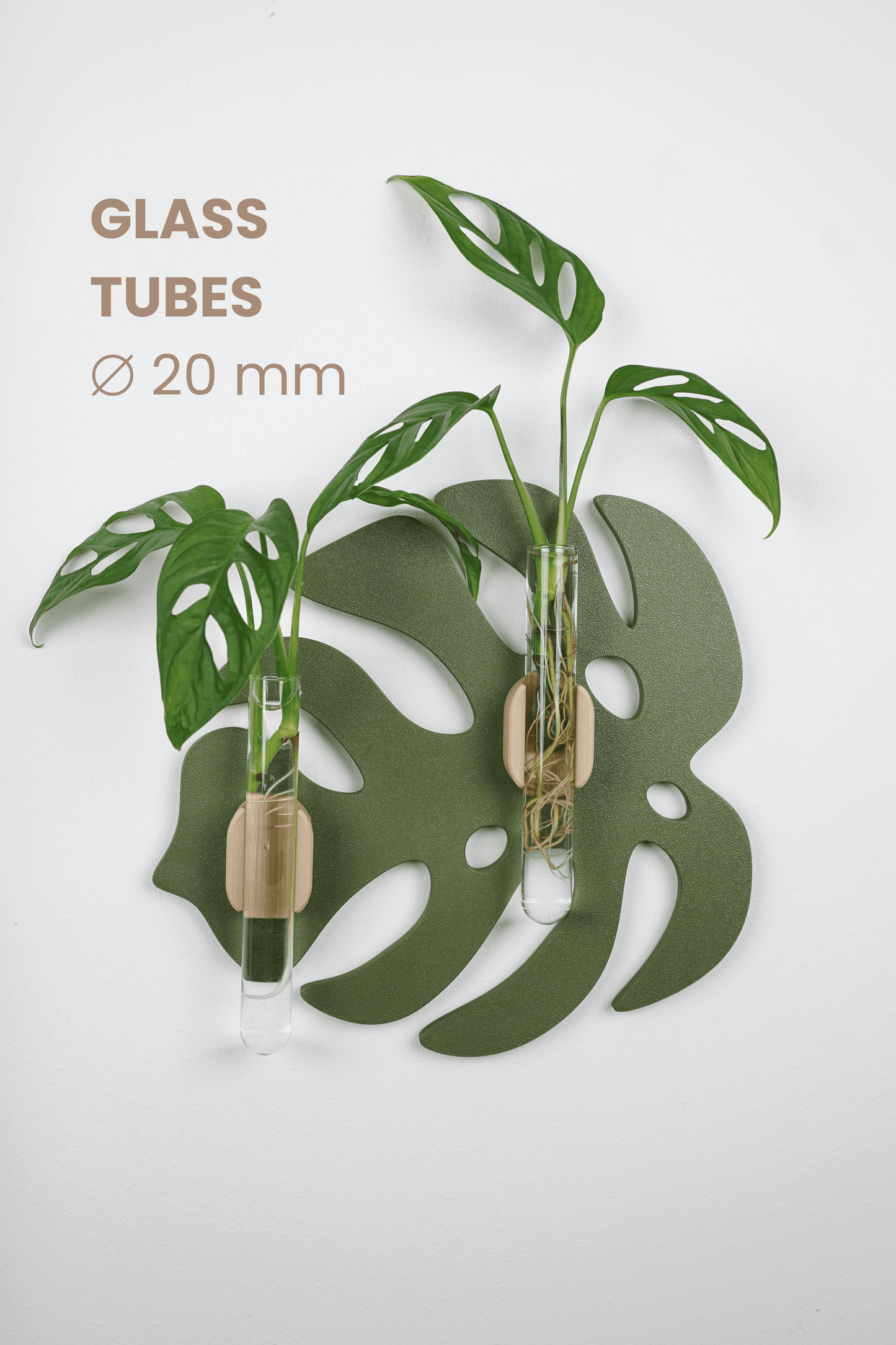 Monstera Leaf Wall-Mounted Propagation Station