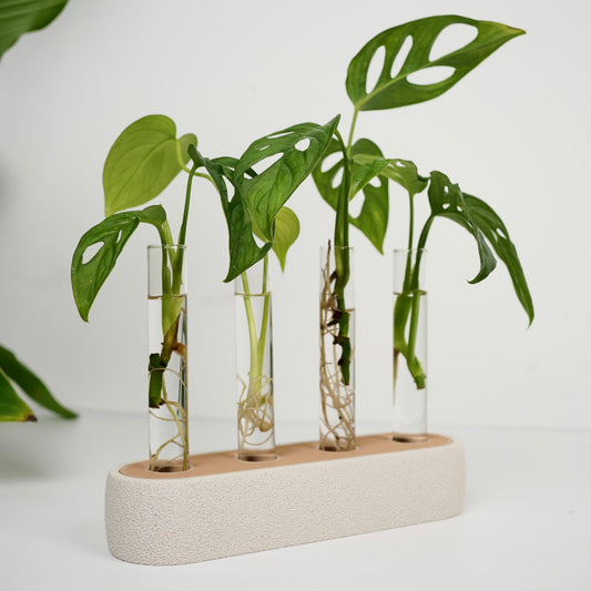 Plant Propagation Station