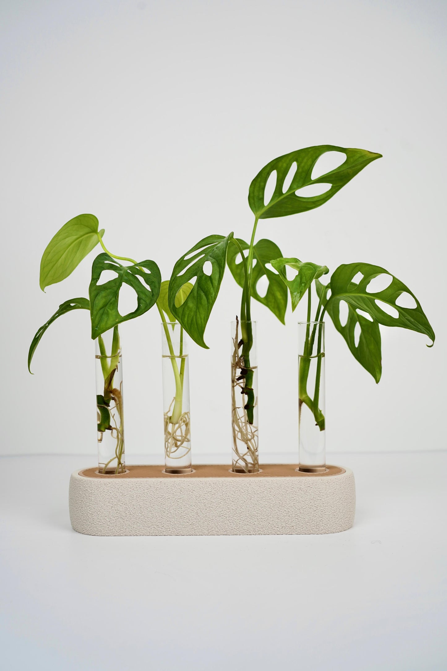 Plant Propagation Station