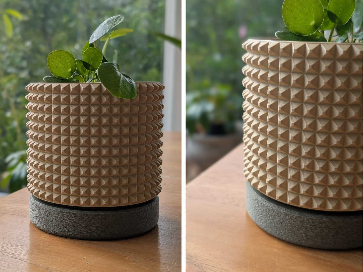 Wall Planter with hidden drip tray