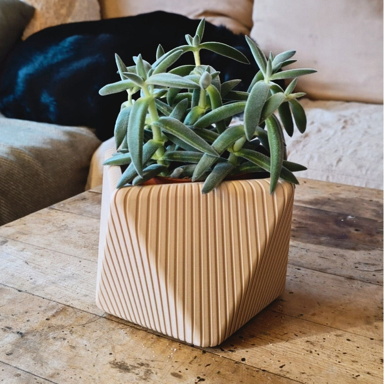 Wall Planter with Hidden Drip Tray