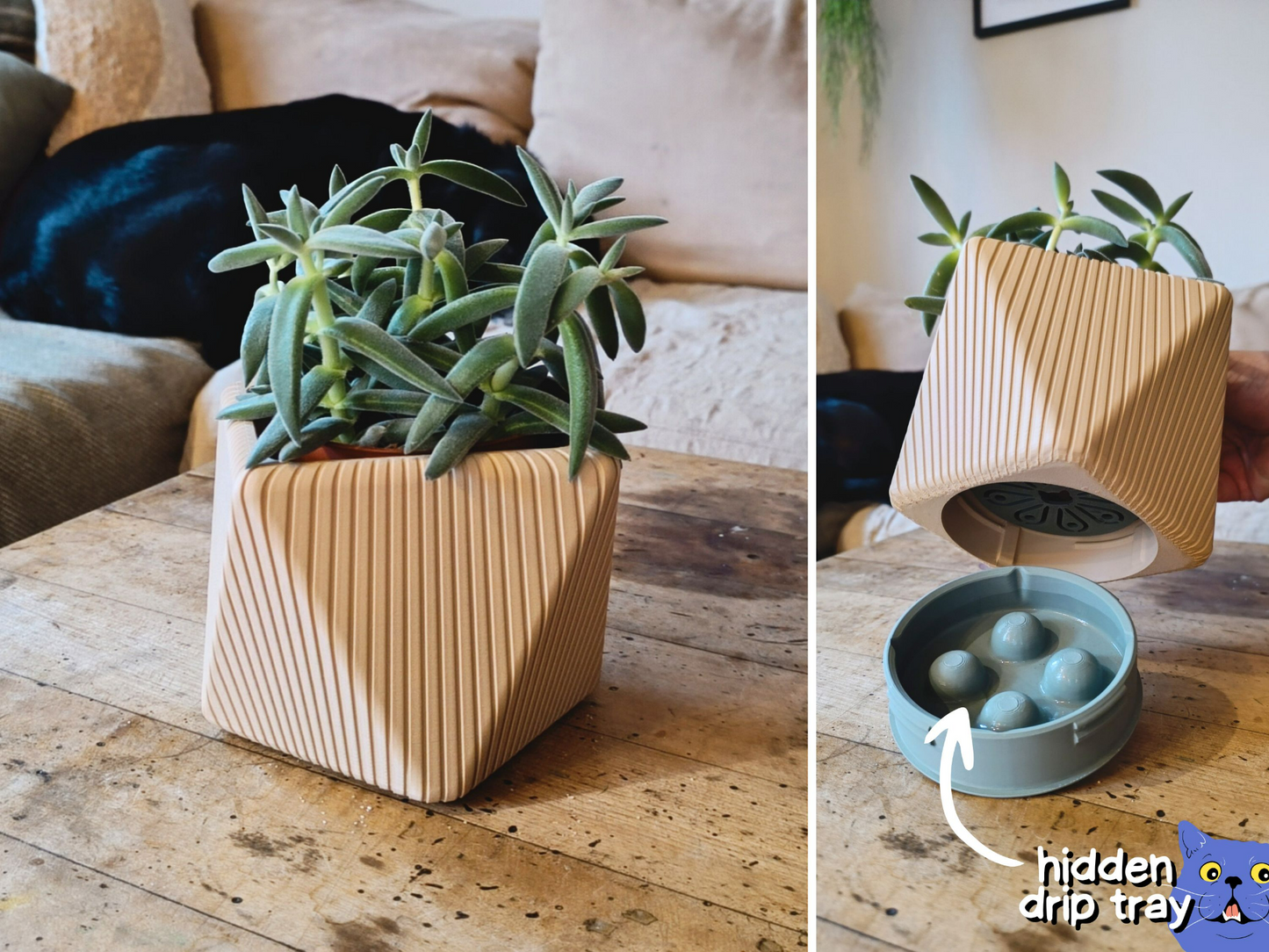 Wall Planter with Hidden Drip Tray