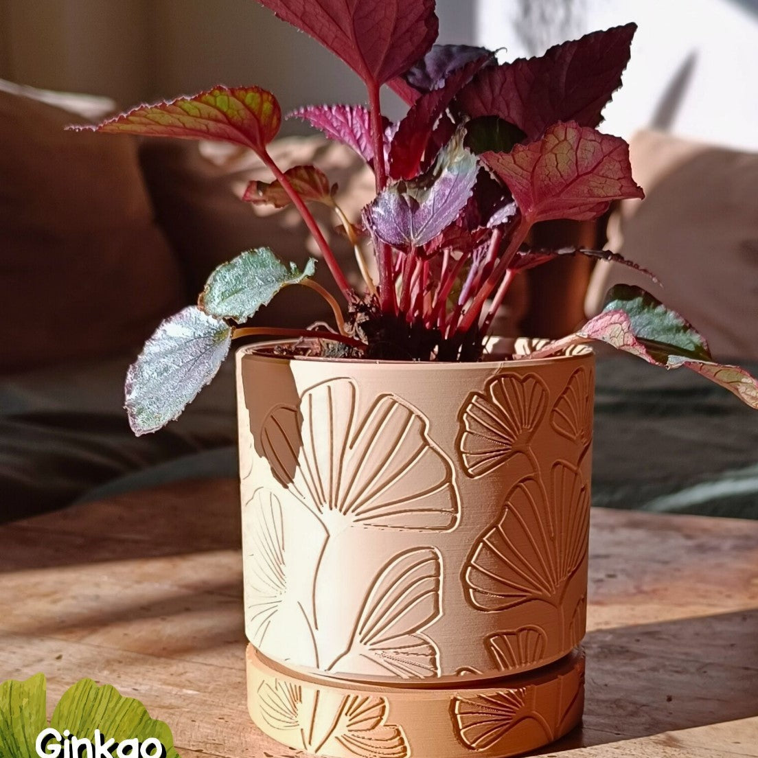 Wall Planter with hidden drip tray