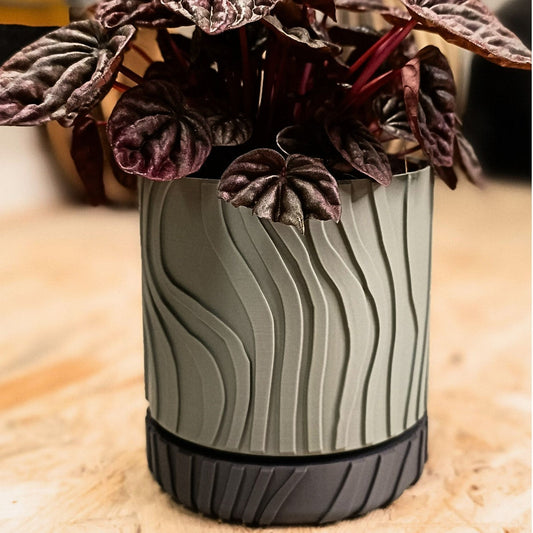 Wall Planter with Hidden Drip Tray