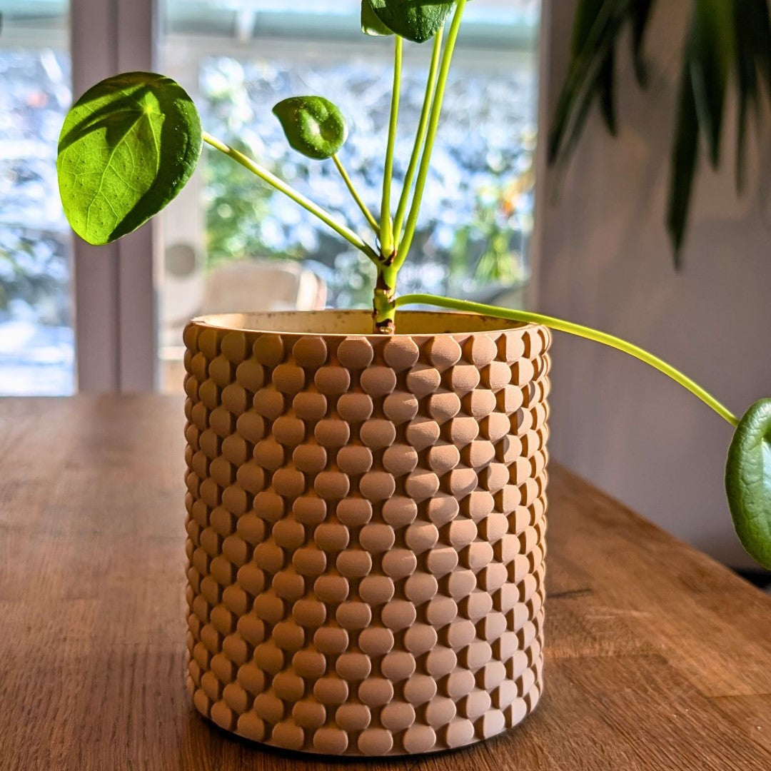 Wall Planter with Hidden Drip Tray