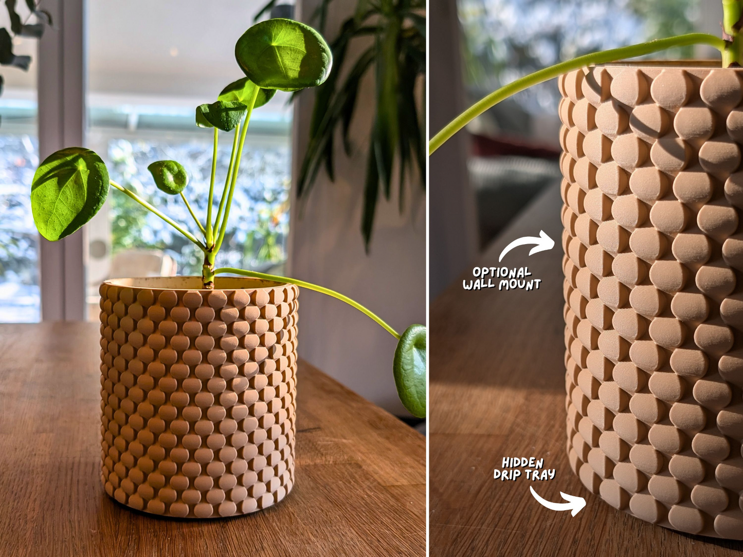 Wall Planter with Hidden Drip Tray