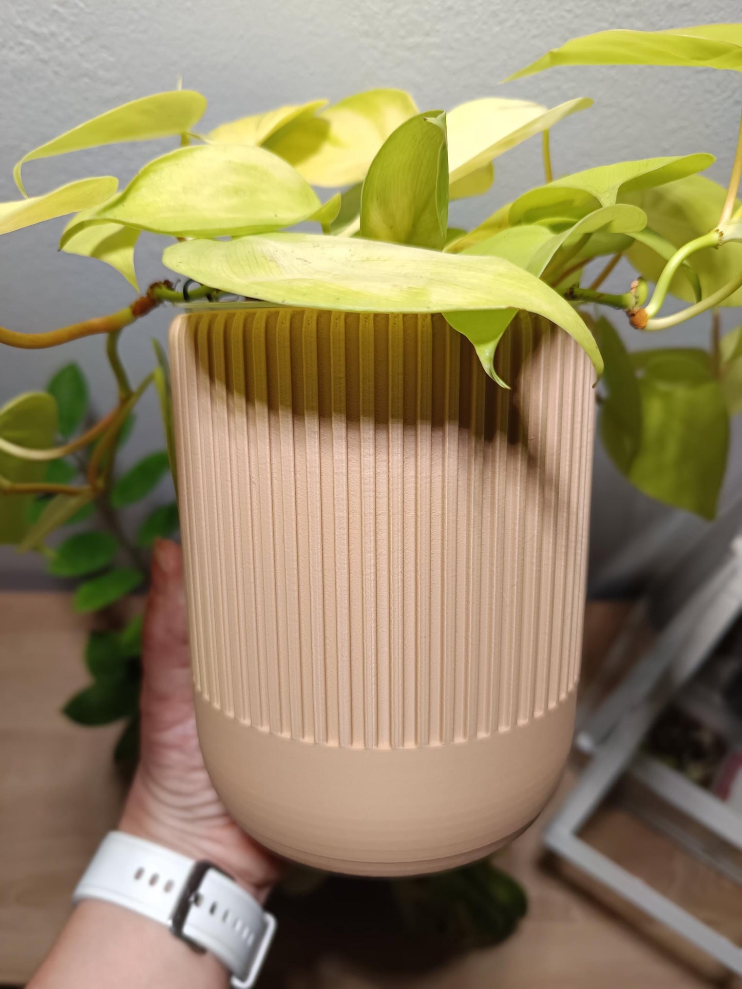 NestPot Erlin – Decorative Cage Cover for Aroid Nursery Pots
