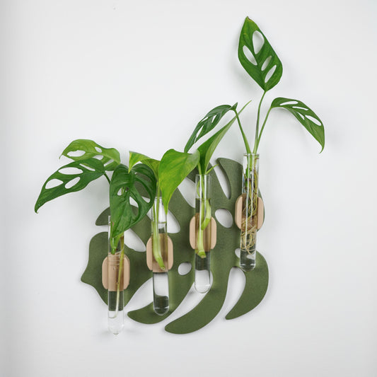 Monstera Leaf Wall-Mounted Propagation Station