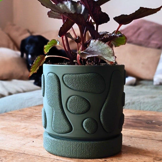 Wall Planter with hidden drip tray