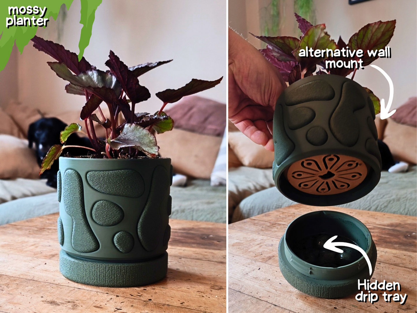 Wall Planter with hidden drip tray