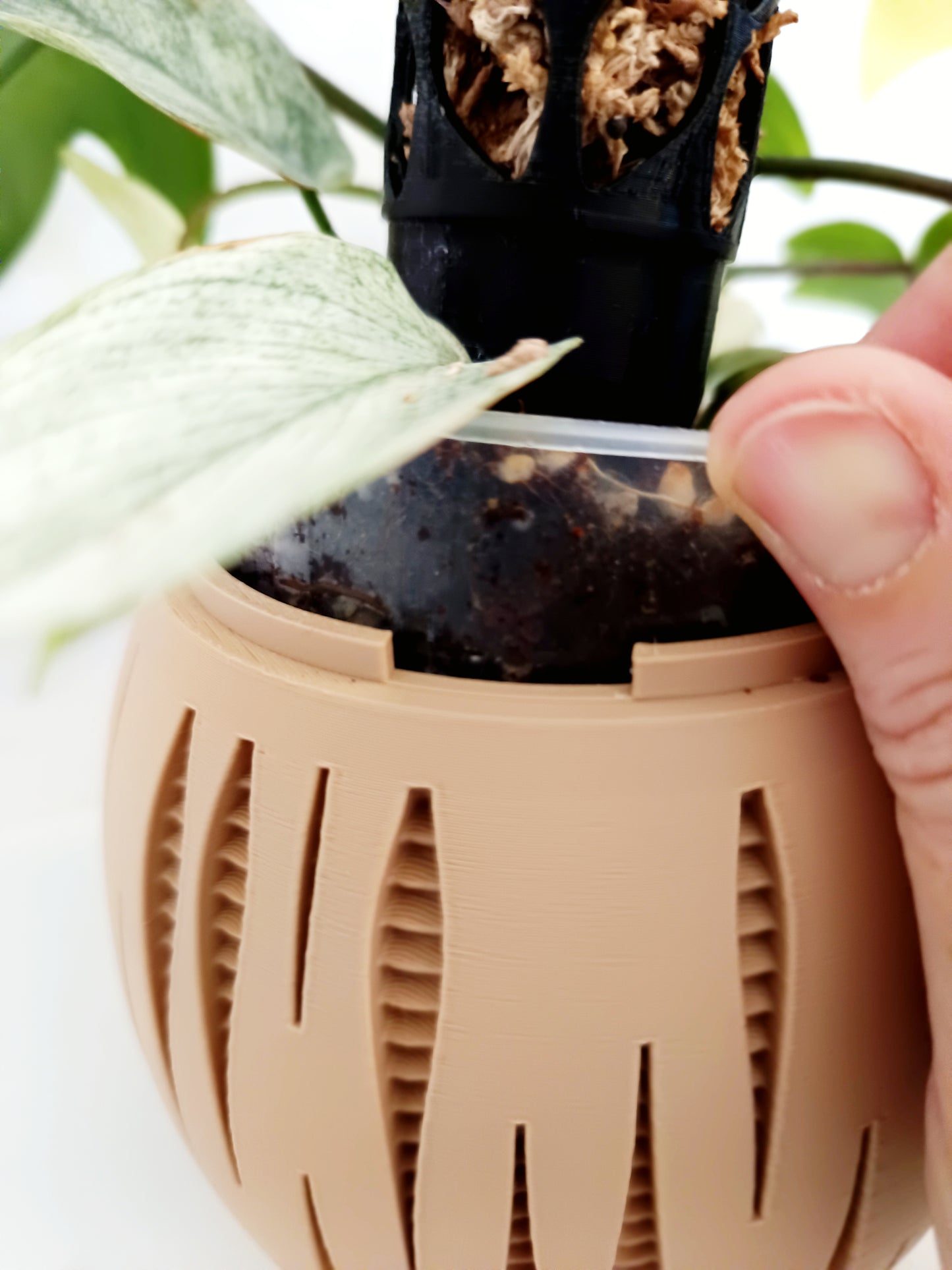 Split - Matching Self Watering Planters Set