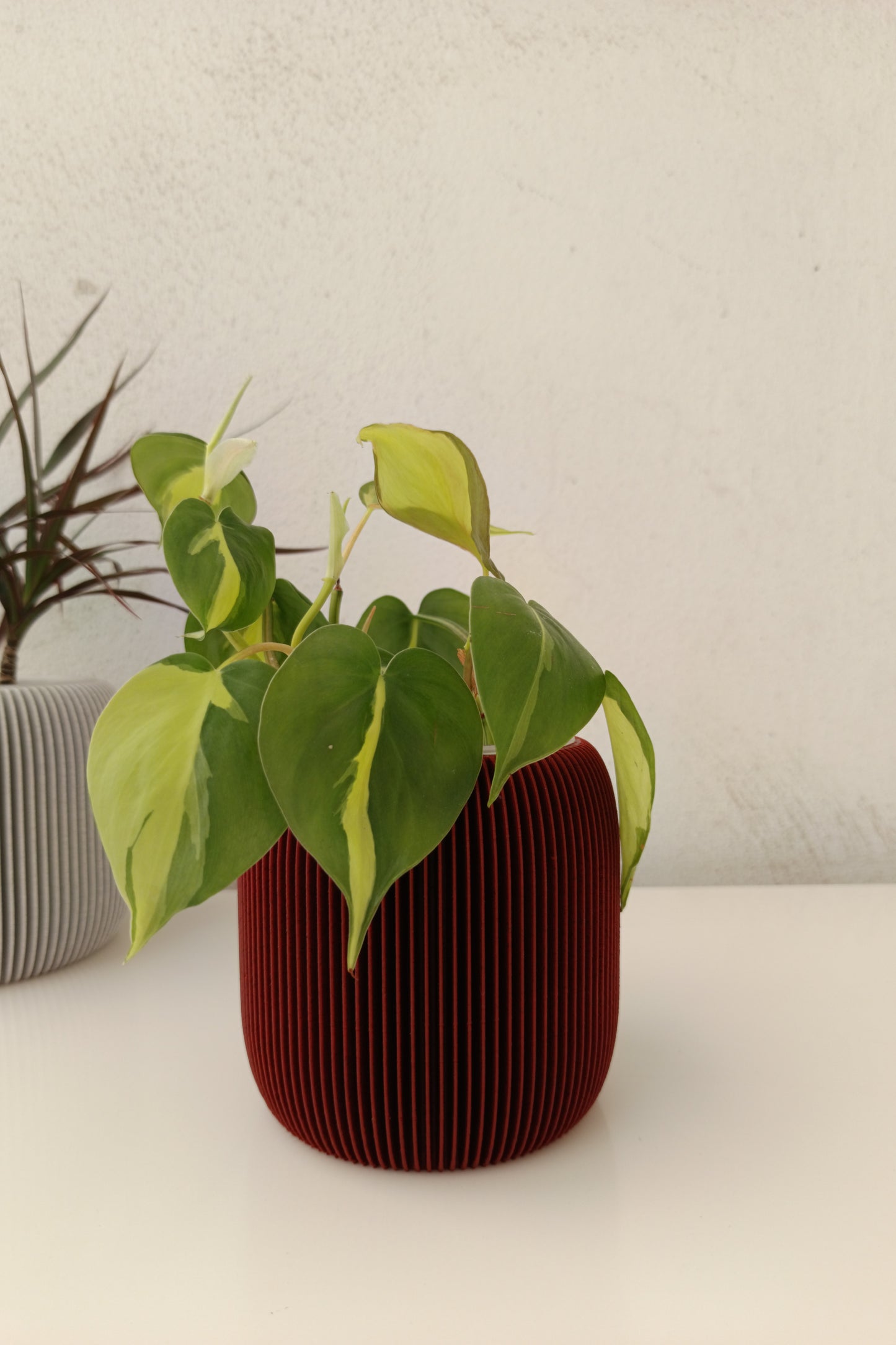 Matching self-watering planter Stramel