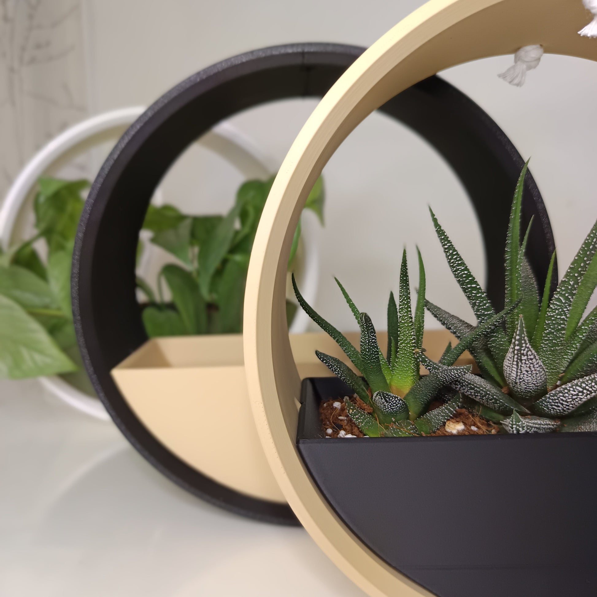 hanging planter rings Hanging Planter The Ring – Tropical Vibes