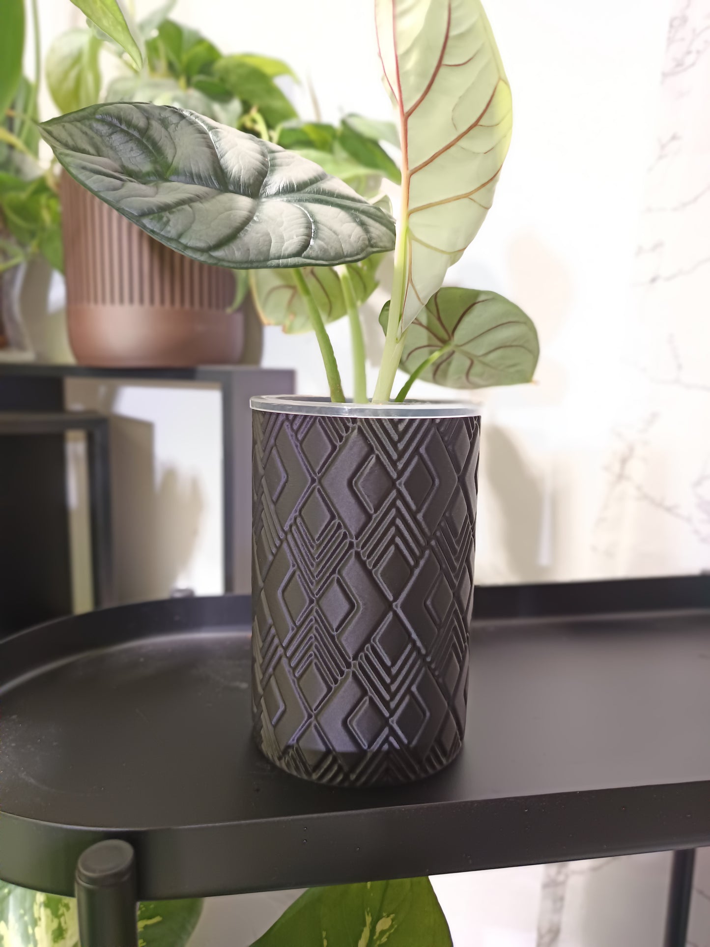 NestPot Wenra – Decorative Cage Cover for Aroid Nursery Pots