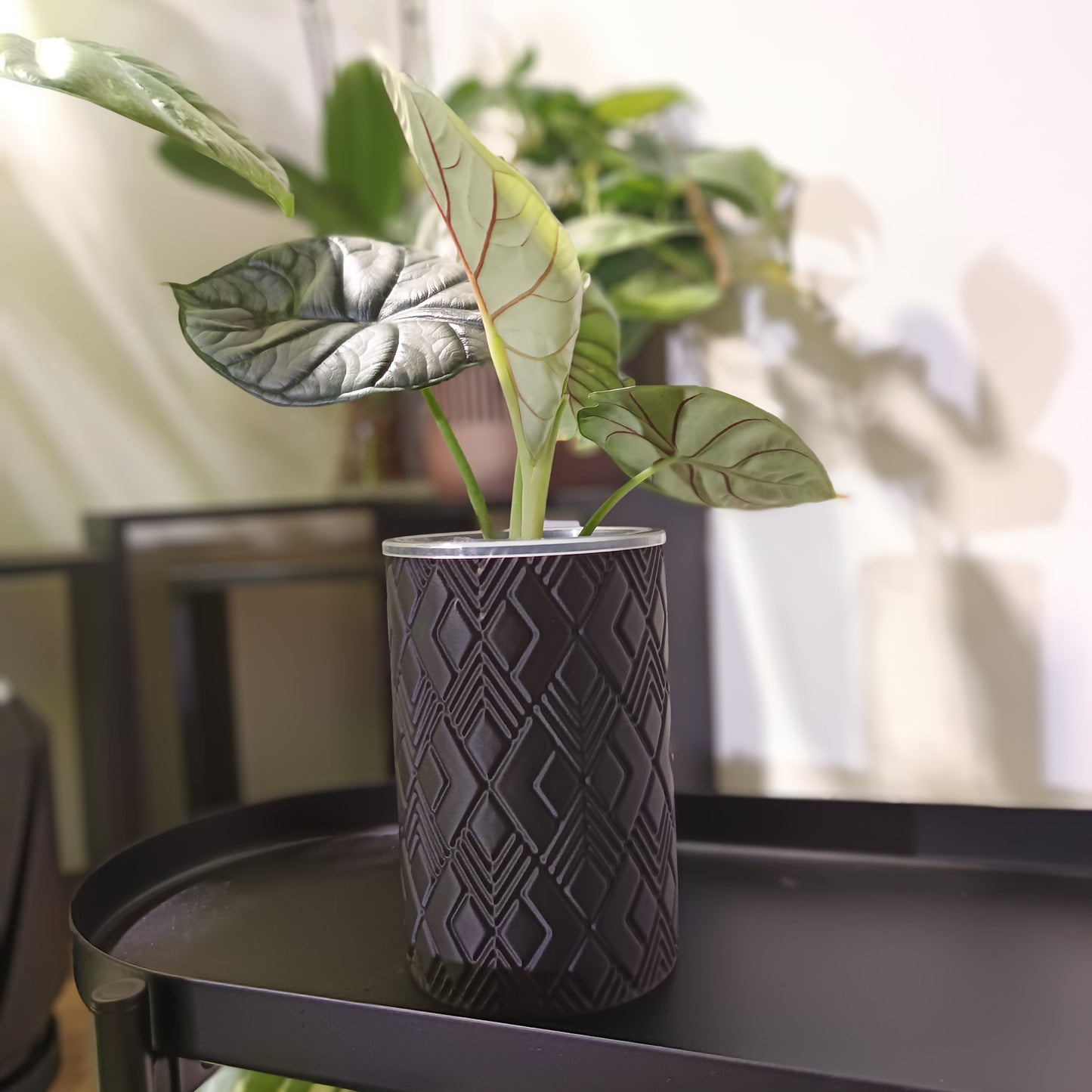 NestPot Wenra – Decorative Cage Cover for Aroid Nursery Pots