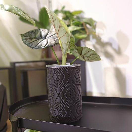 NestPot Wenra – Decorative Cage Cover for Aroid Nursery Pots