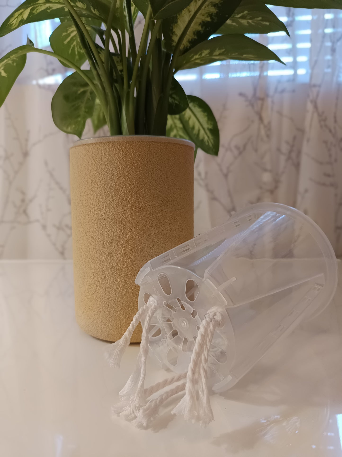 NestPot Erlin – Decorative Cage Cover for Aroid Nursery Pots