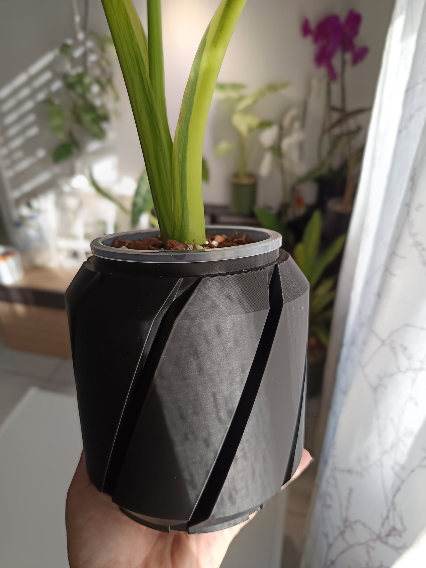 NestPot Cens – Decorative Cage Cover for Aroid Nursery Pots