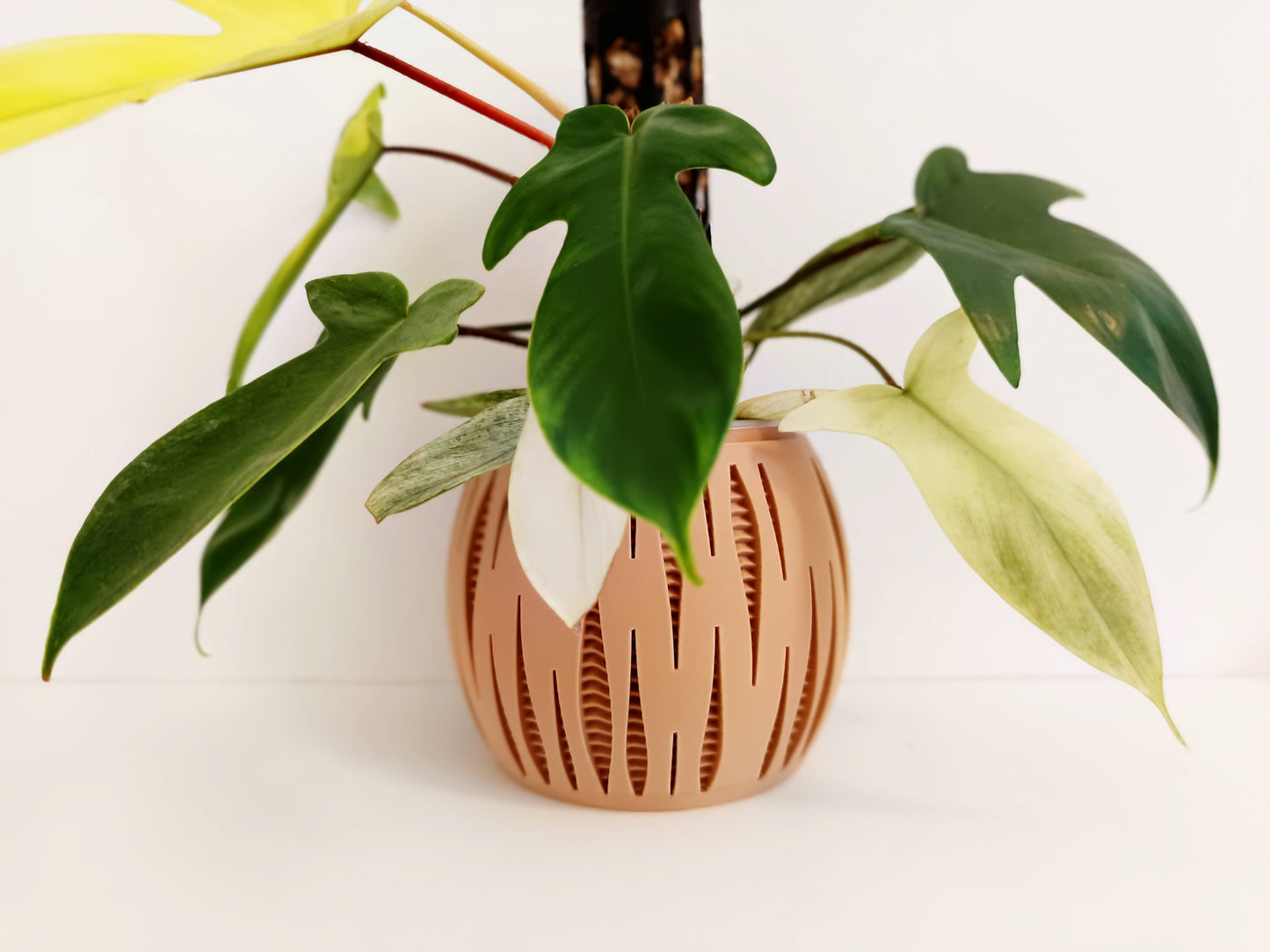 Split - Matching Self Watering Planters Set