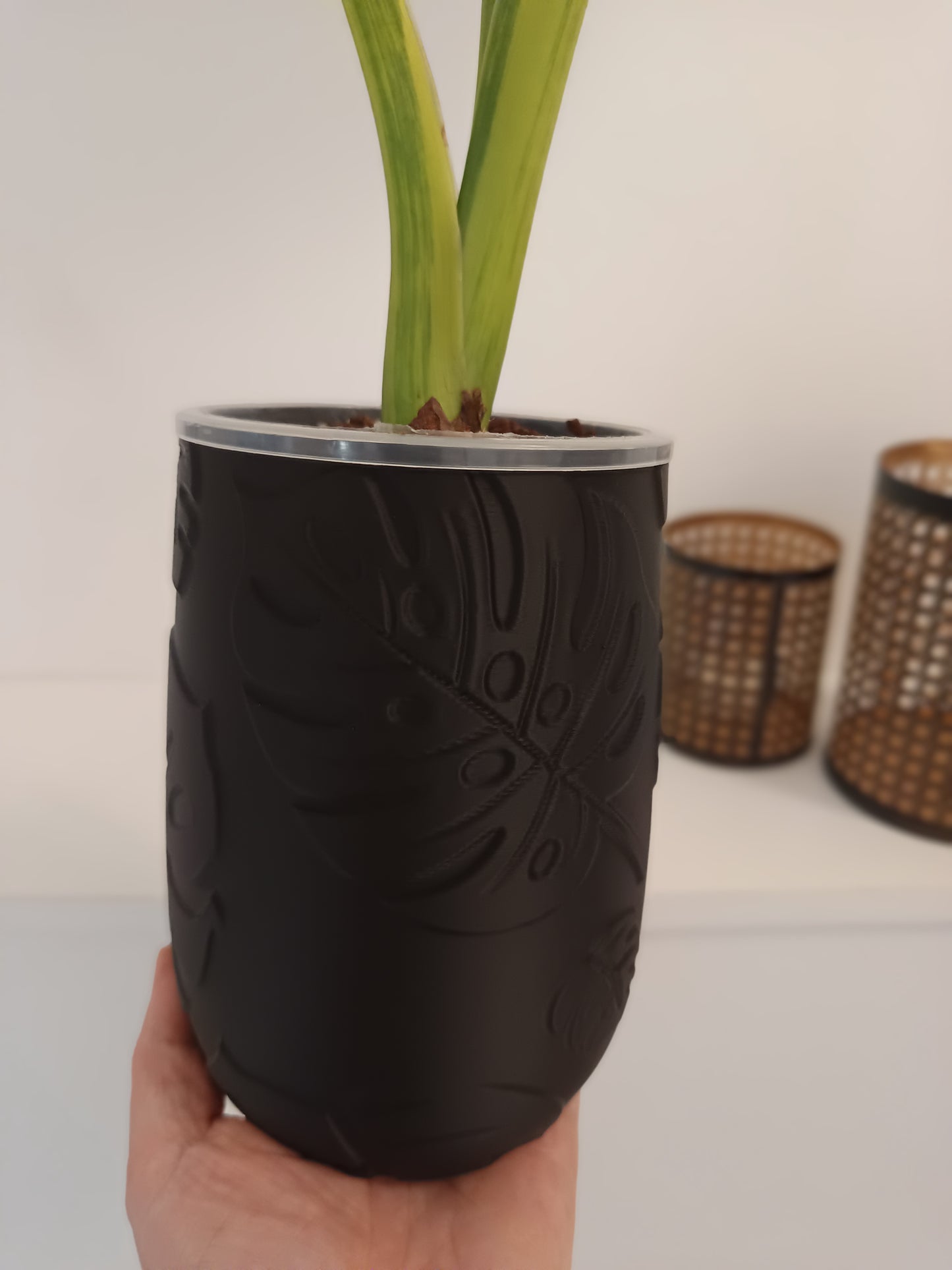 NestPot Monstera – Decorative Cage Cover for Aroid Nursery Pots