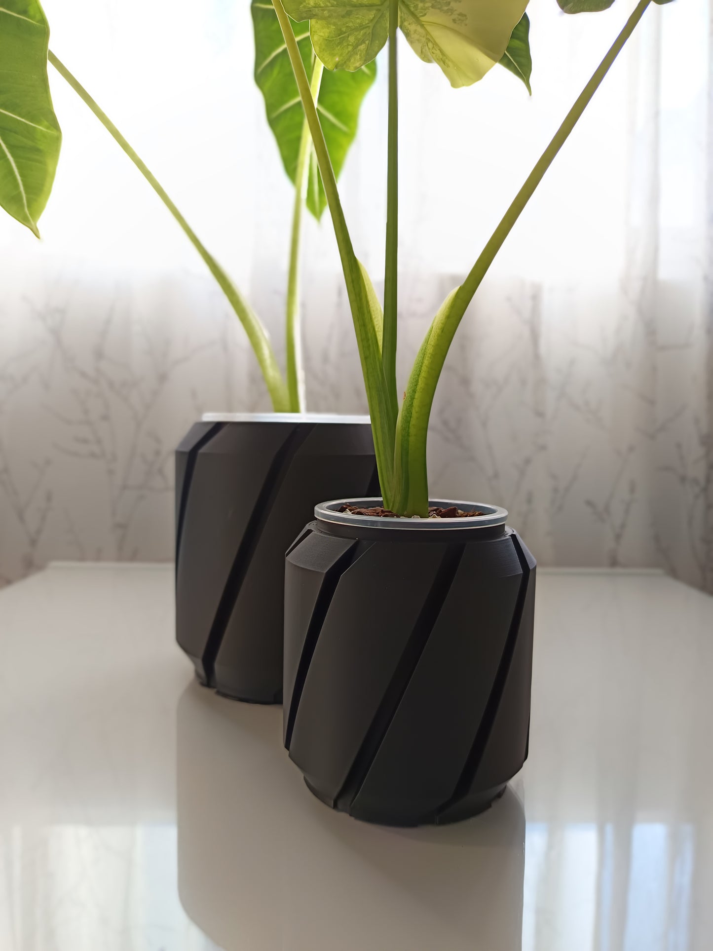 NestPot Cens – Decorative Cage Cover for Aroid Nursery Pots