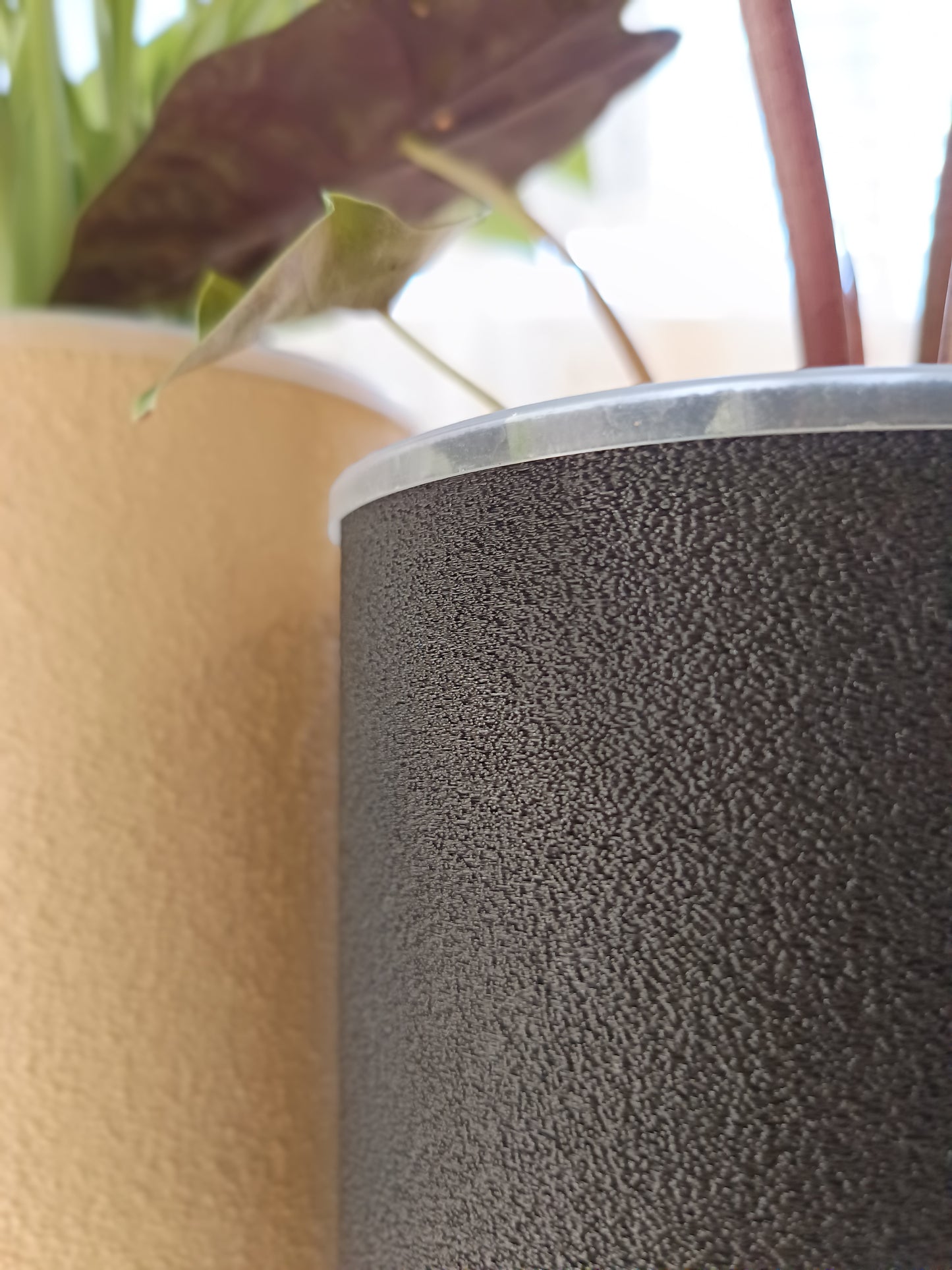 NestPot Fuzzy – Decorative Cage Cover for Aroid Nursery Pots