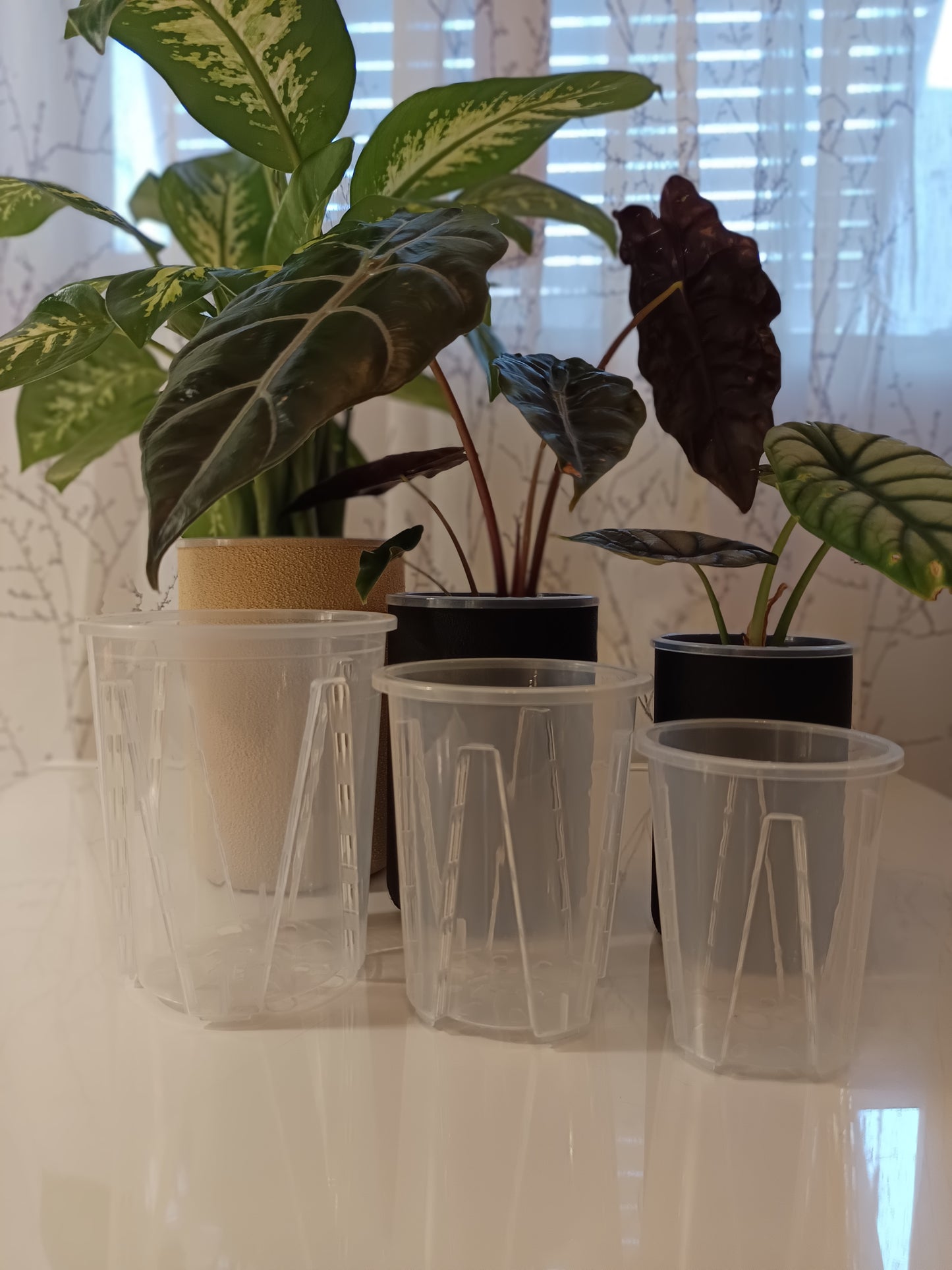 NestPot Erlin – Decorative Cage Cover for Aroid Nursery Pots