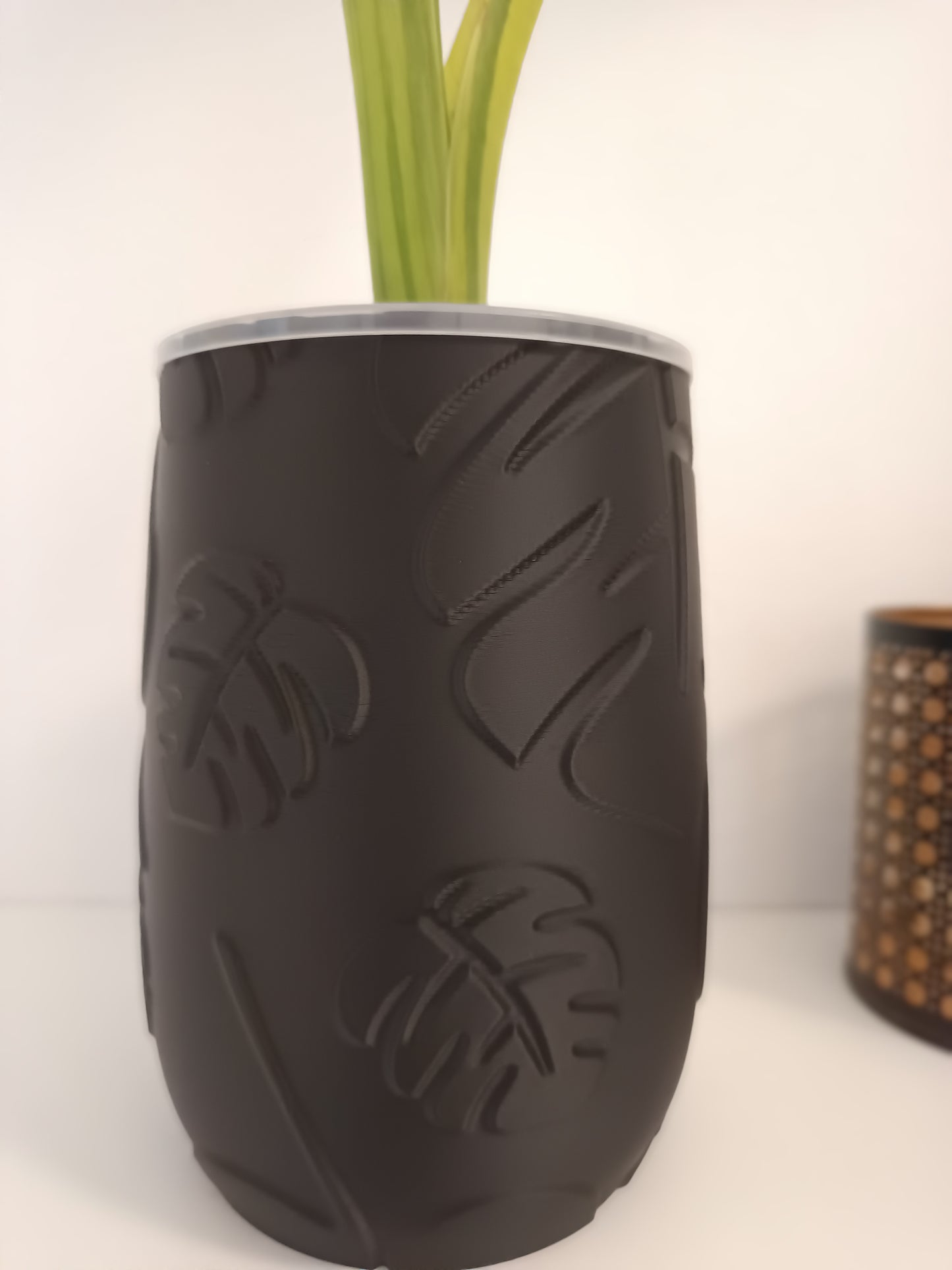 NestPot Monstera – Decorative Cage Cover for Aroid Nursery Pots