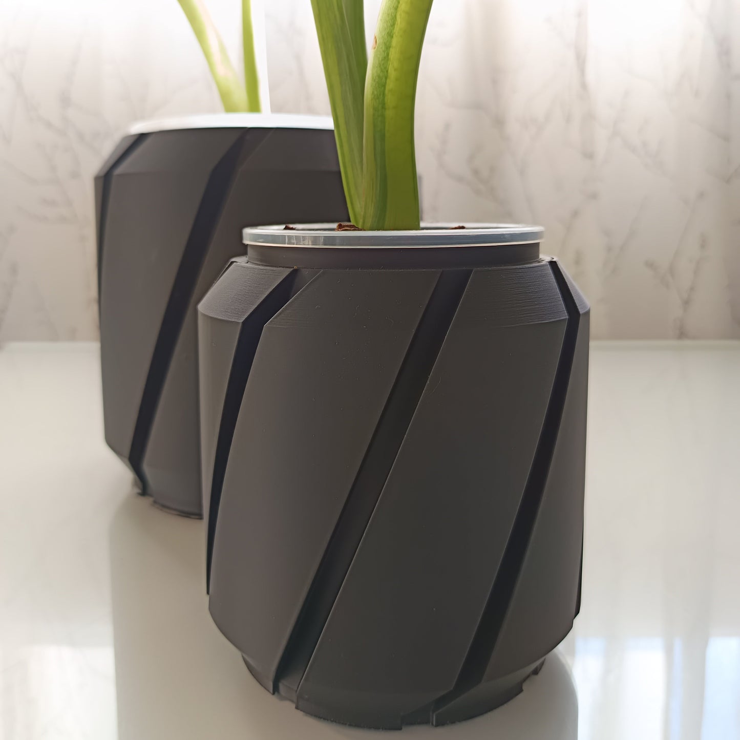 NestPot Cens – Decorative Cage Cover for Aroid Nursery Pots