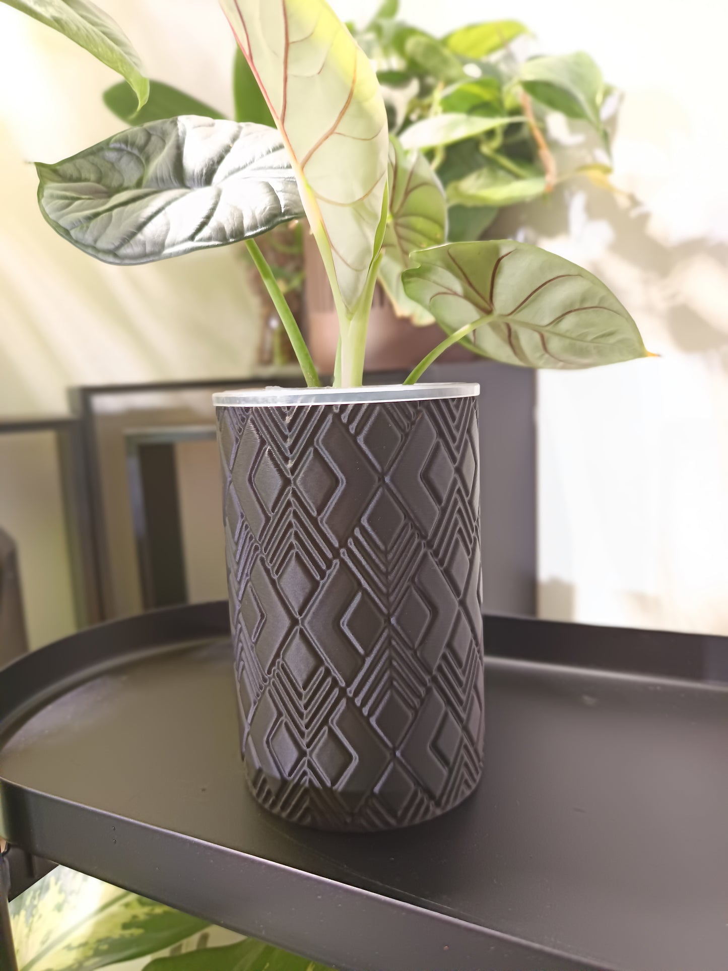 NestPot Wenra – Decorative Cage Cover for Aroid Nursery Pots