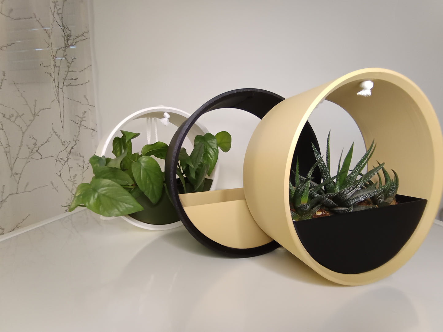 Hanging Planter The Ring