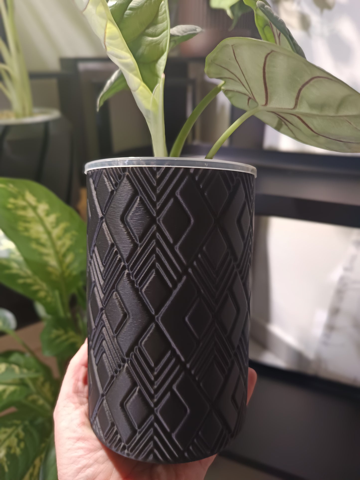 NestPot Wenra – Decorative Cage Cover for Aroid Nursery Pots