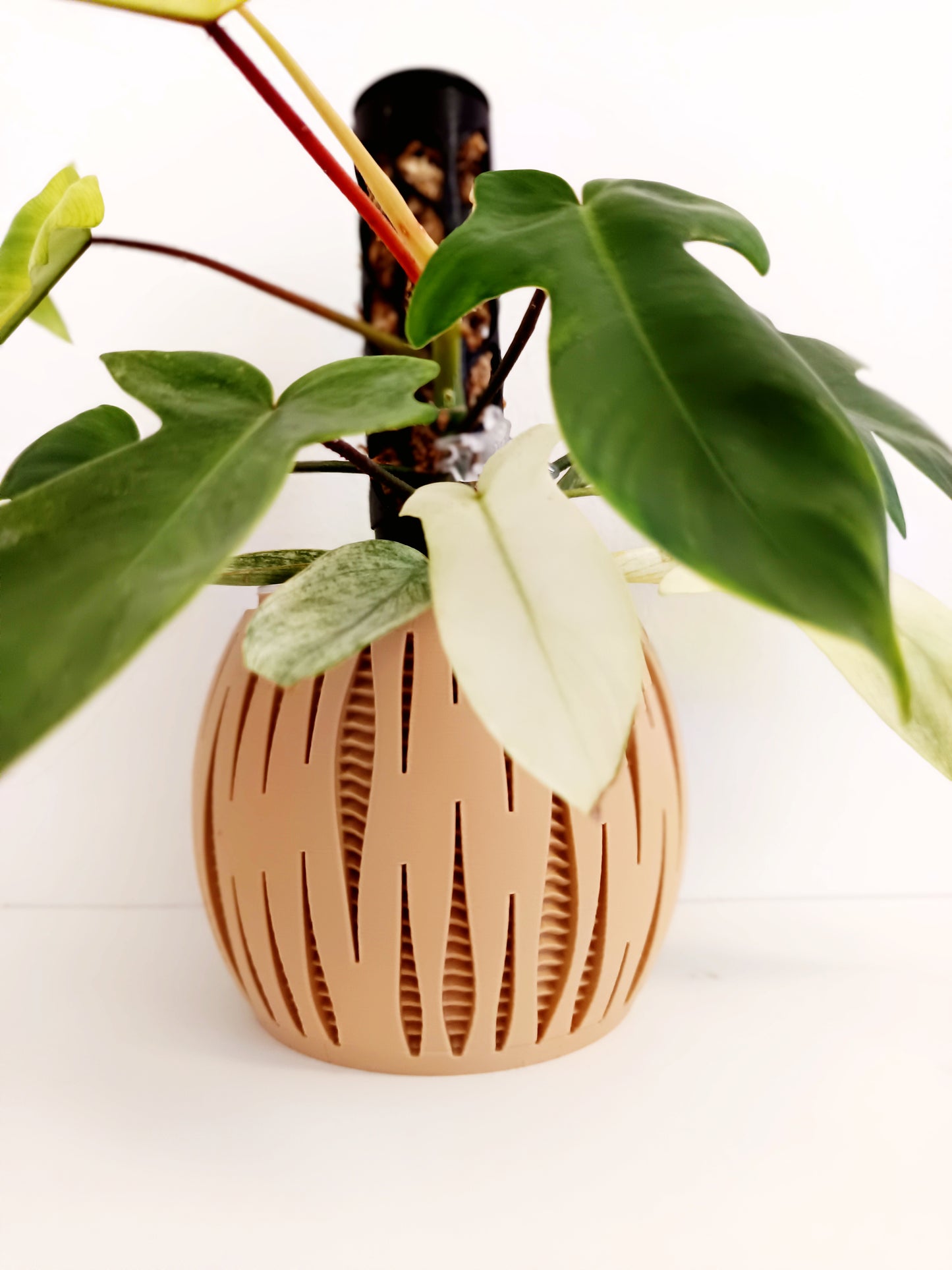 Split - Matching Self Watering Planters Set