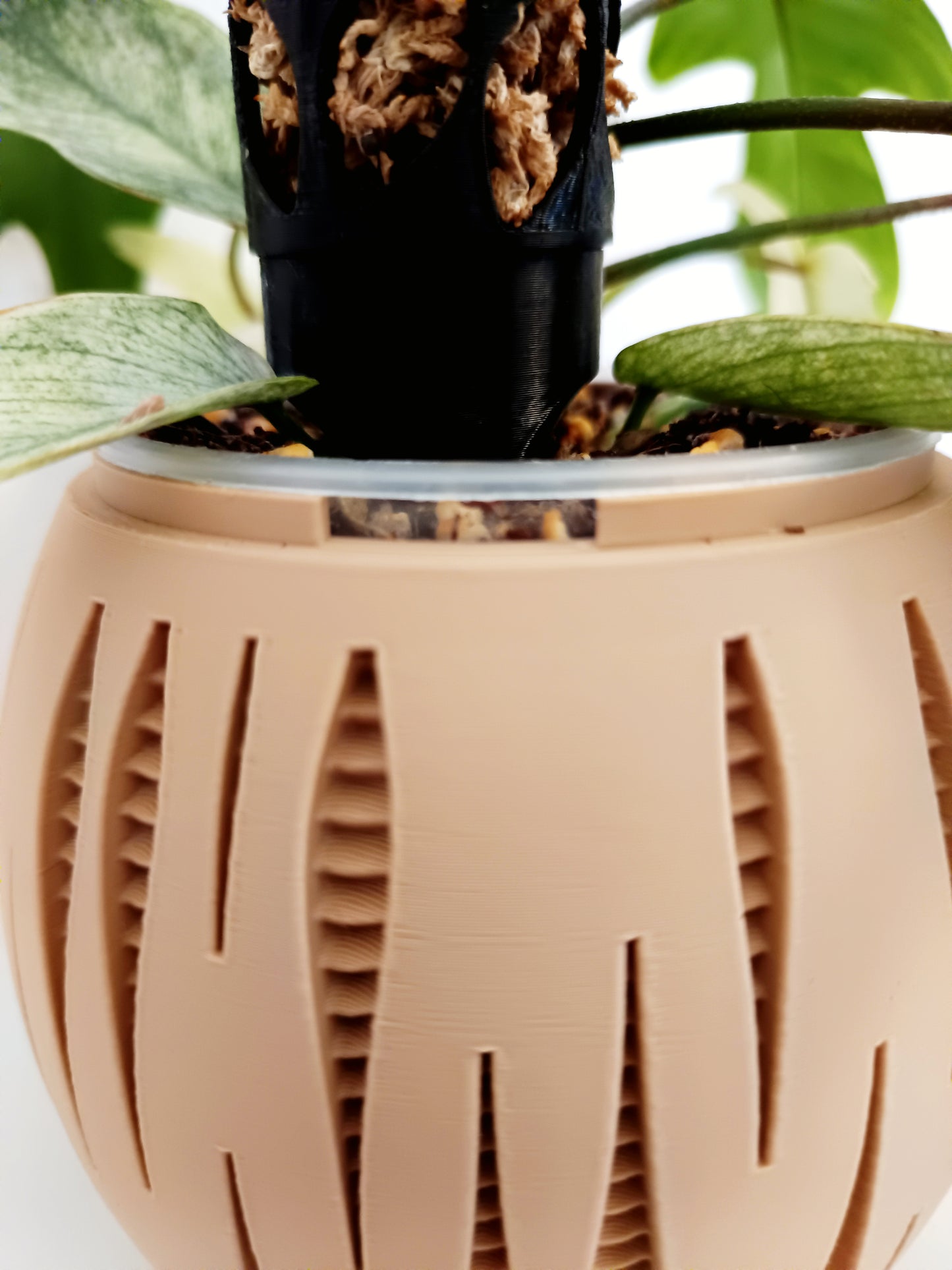 Split - Matching Self Watering Planters Set