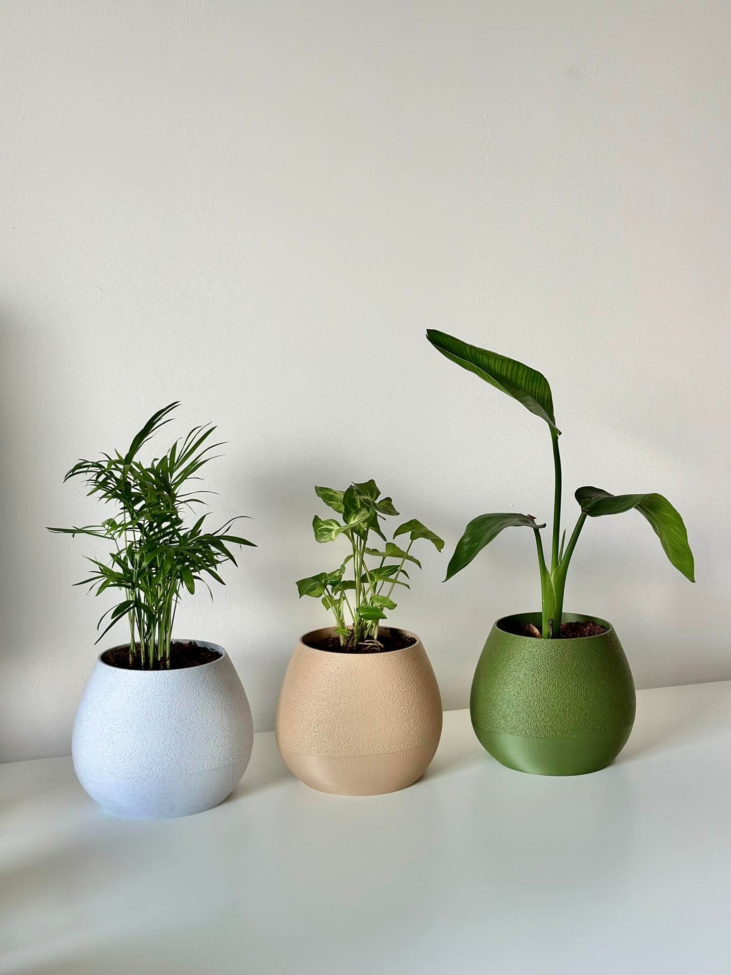 Self watering planter Dakri
