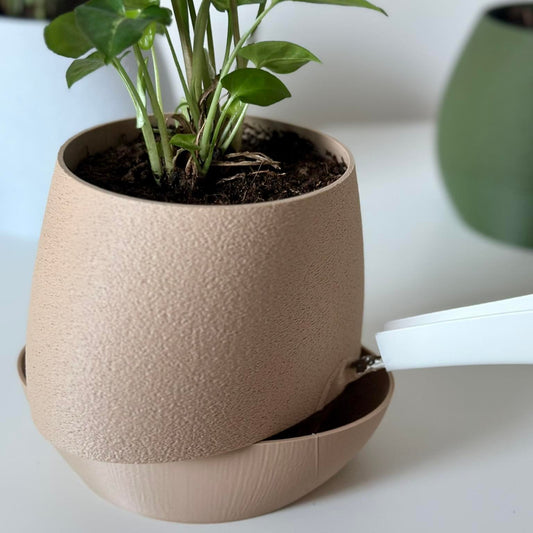 Self watering planter Dakri